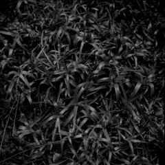 19_11_2024_M6_Kreutzeck_Donon