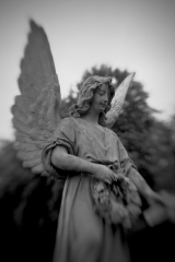Leidingen_Ange_word