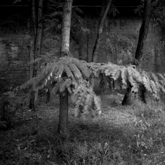 Voelklinger_Hutte_word